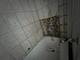 106 W 91st, Chicago, IL 60620