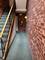 9529 Minnick Unit 1S, Oak Lawn, IL 60453