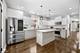 8445 S Luella, Chicago, IL 60617