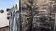 900 W Washington Unit 504, Chicago, IL 60607