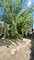 3540 S Damen, Chicago, IL 60609