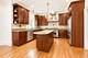 15004 S Bartlett, Plainfield, IL 60544