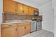 1534 Palmgren, Glenview, IL 60025