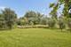 11415 Plattner, Mokena, IL 60448