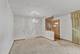 1225 S Cumberland, Park Ridge, IL 60068
