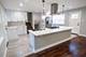 336 E 91st, Chicago, IL 60619