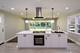 336 E 91st, Chicago, IL 60619