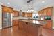 12408 Lajunta, Mokena, IL 60448