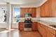1631 S Michigan Unit 506, Chicago, IL 60616