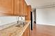 1631 S Michigan Unit 506, Chicago, IL 60616