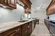 7413 Brookdale Unit 208, Darien, IL 60561