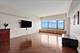 175 E Delaware Unit 6206, Chicago, IL 60611