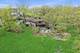 720 South, Barrington, IL 60010