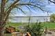 720 South, Barrington, IL 60010