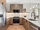 1235 N Ashland Unit 502, Chicago, IL 60622