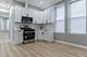 1442 S Springfield, Chicago, IL 60623