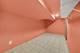 2238 S California, Chicago, IL 60608