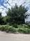 8228 S Manistee, Chicago, IL 60617