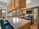 2615 Poplar View, Elgin, IL 60120