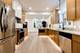 5721 S Newcastle, Chicago, IL 60638