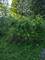 10802 W York House, Beach Park, IL 60087