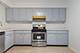 1133 S Finley Unit 402, Lombard, IL 60148