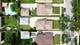 1638 Forest, La Grange Park, IL 60526