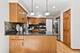 3123 Scenicwood, Woodridge, IL 60517