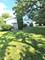 333 12th, Wheeling, IL 60090