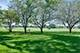 1137 St Andrews, Algonquin, IL 60102