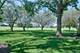 1137 St Andrews, Algonquin, IL 60102