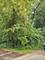 35 Ridgeland, Fox Lake, IL 60020