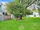 223 Willow, Bloomingdale, IL 60108