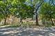 6112 N Damen Unit 2, Chicago, IL 60659
