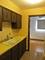 1247 S Harlem Unit 401, Berwyn, IL 60402