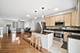 183 N East River Unit C2, Des Plaines, IL 60016