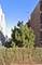 3713 S Damen, Chicago, IL 60609