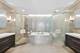 401 N Wabash Unit 41C, Chicago, IL 60611
