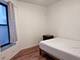 2738 S Princeton Unit 2, Chicago, IL 60616