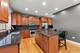 26612 Lindengate, Plainfield, IL 60585