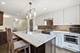 319 W Webster Unit 1, Chicago, IL 60614