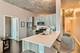 1345 S Wabash Unit 1409, Chicago, IL 60605