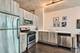 1345 S Wabash Unit 1409, Chicago, IL 60605