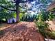 1221 W Lonnquist, Mount Prospect, IL 60056