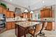 12915 Grande Pines, Plainfield, IL 60585