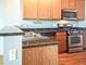 1224 W Van Buren Unit 517, Chicago, IL 60607
