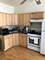 1736 W Beach, Chicago, IL 60622