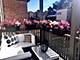 3823 N Alta Vista, Chicago, IL 60613