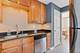 32 Elgin Unit B2, Forest Park, IL 60130