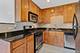 32 Elgin Unit B2, Forest Park, IL 60130